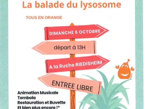 La balade du Lysosome 