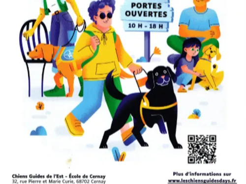 Chiens guides days à Cernay 