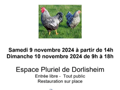 Exposition avicole à Dorlisheim