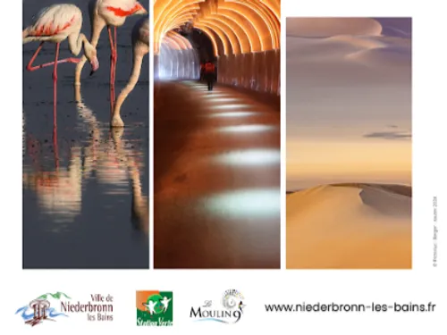 Imagin’Air - Balade artistique à Niederbronn-les-Bains