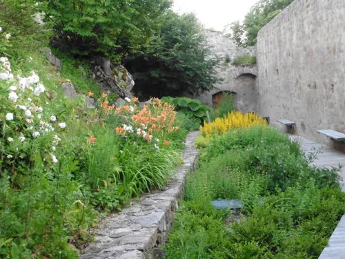 Mets'diévales - Balade botanique autour des préceptes de Hildegarde...