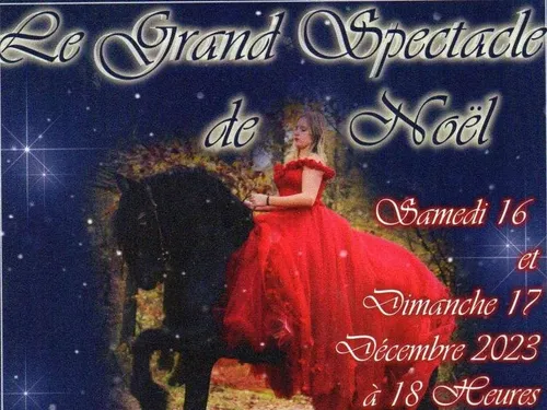 Le Grand Spectacle de Noël 