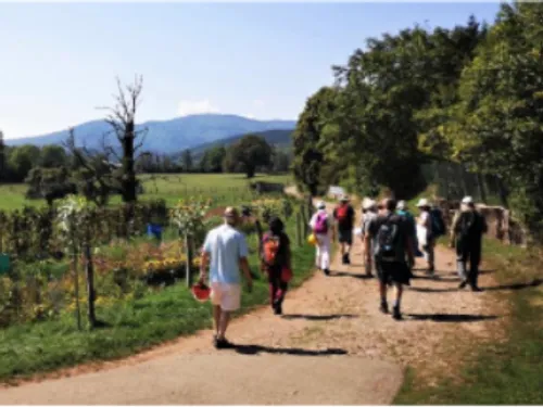Remonter le temps avec la Maison de la Terre