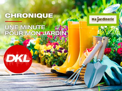 Une minute pour mon jardin 
