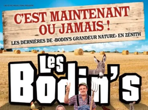 Report LES BODIN'S Strasbourg en date du 06/01/2023 et le 07/01/2023