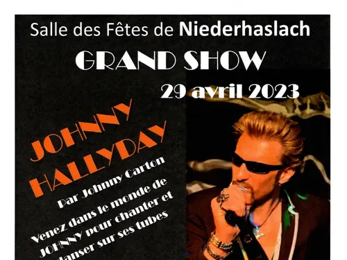 Grand show Johnny Hallyday