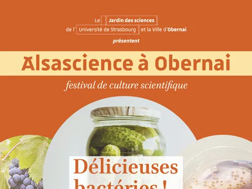 Alsacience, le festival de culture scientifique à Obernai,...