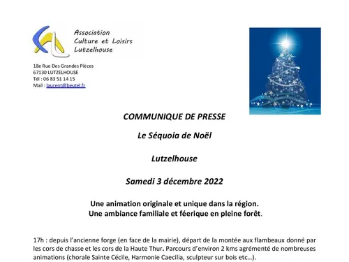  Séquoia de Noël - Lutzelhouse