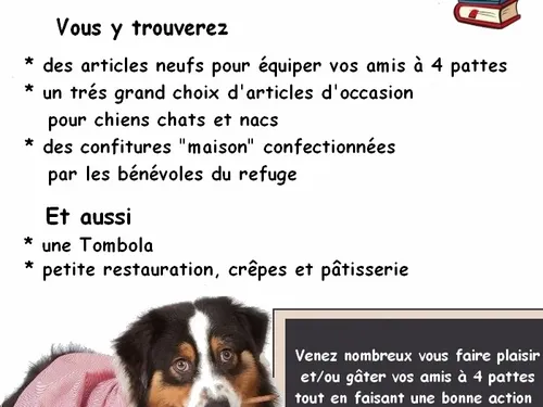 Fête de la rentrée à Haguenau