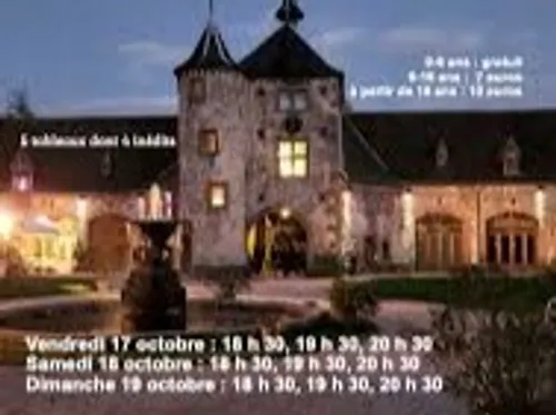 Rêverie nocturne au château de THANVILLE 