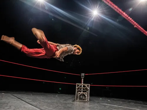 Cimpli'Cité : Bestiaire