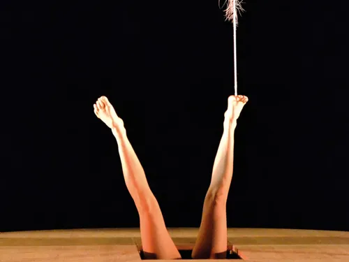 Compli'cité : Le plus petit Cirk du bord du bout du monde