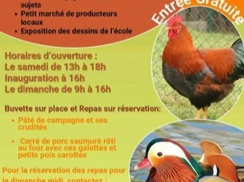 Exposition Avicole de Waldighoffen