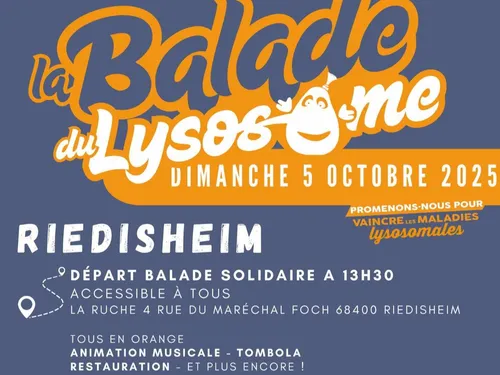 La Balade du Lysosome