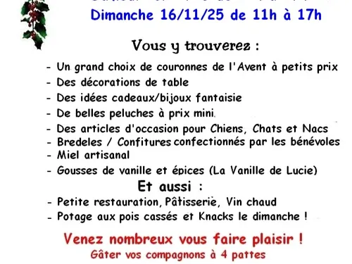 MARCHÉ DE NOËL DE LA SPA DE HAGUENAU