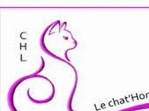  Journée portes ouvertes - CHAT HOME DE LUNA