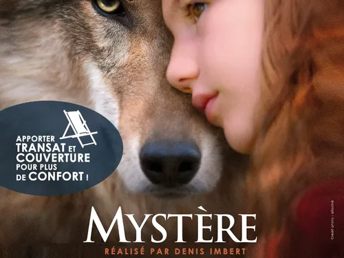 Cinéma plein air : Mystère