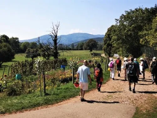 Fête du patrimoine avec la Maison de la Terre