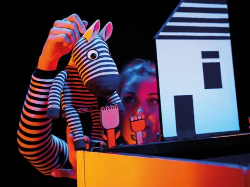 Compli'cité : Zèbres