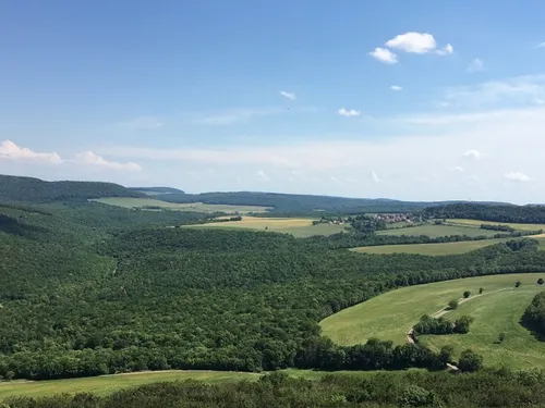 540 activités nature gratuites à faire cette année dans la région 