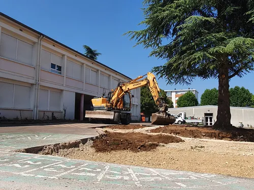 En vidéo : projet de végétalisation de cours d'écoles à Chenôve