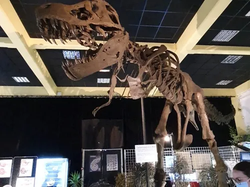 Plongée préhistorique à Dijon : une exposition sur les dinosaures...