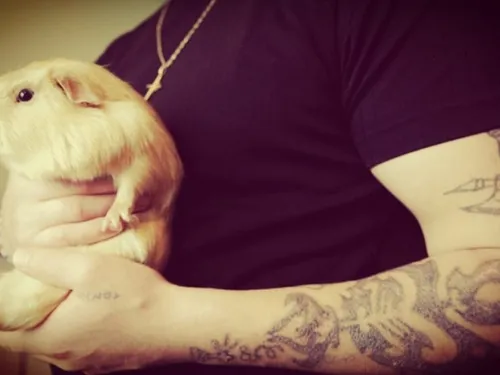 Ani'nomade : transformer des vies grâce à la zoothérapie