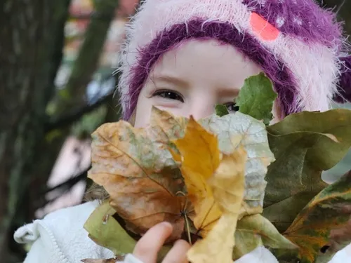 La forêt des enfants de Dijon s’agrandit ce dimanche 
