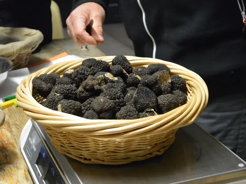 Ne manquez pas la fête de la truffe le 14 octobre à Is-sur-Tille 