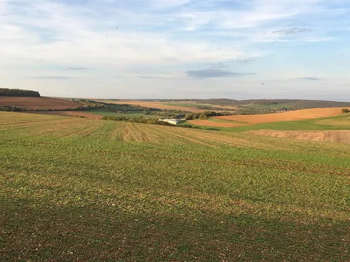 Un cas de grippe aviaire détecté en Côte d’Or 