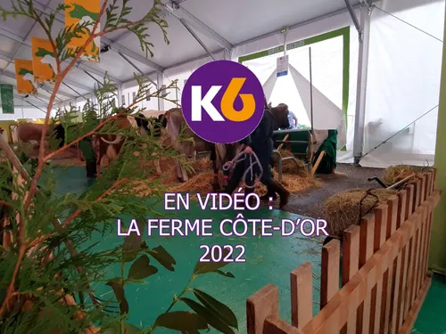 En vidéo : la ferme Côte-d'Or 2022