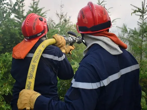 Prévention des feux de forêt : levée des mesures en Côte-d’Or 