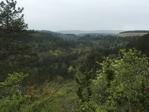 Nouvelle opération de chasse ce mardi à la combe à la serpent 