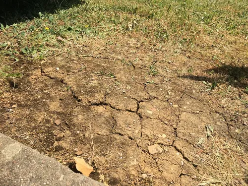Incendie à Saint-Apollinaire et canicule : Dijon métropole appelle...