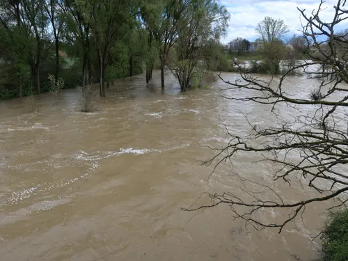 Tempête Nils en Côte-d'Or : des routes inondées et des arbres...
