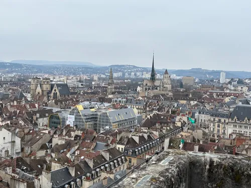 « L'arbre à souhait » du centre ville : les commerçants dans...