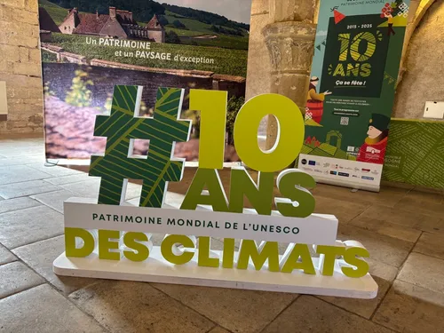 10 ans des Climats : c’est le grand jour à Puligny-Montrachet 