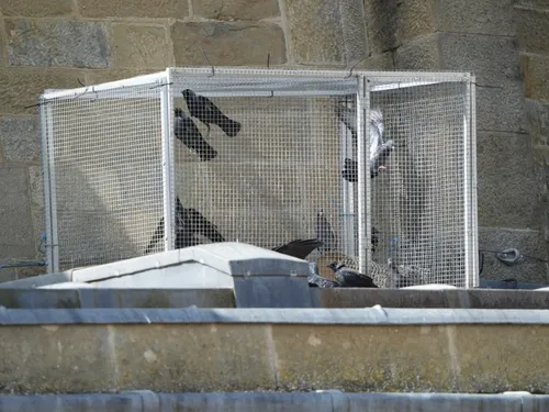 Saint-Apollinaire : PAZ exige le retrait de l’arrêté autorisant...