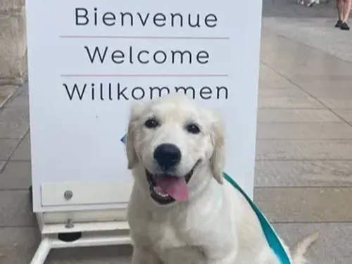 Pourquoi le chien est le meilleur ami de votre enfant ? La Semaine...