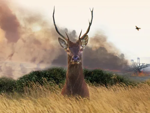 Le cinéma CGR de Beaune sensibilise à l'écologie avec ce...