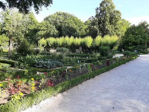 Un nouveau spectacle immersif sur la vie des arbres au Planétarium...