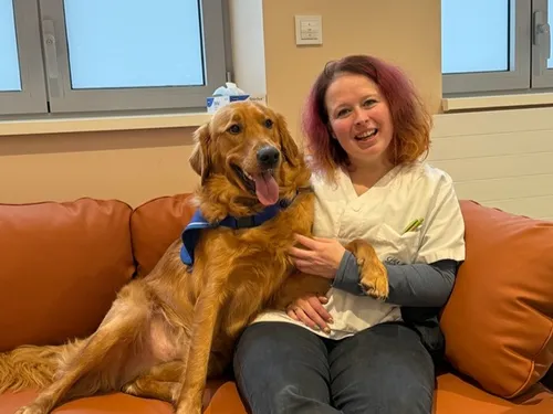 Découvrez Vox, le chien du CHU de Dijon Bourgogne qui aide les...