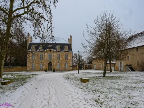 Ce trio de musique dijonnais a enregistré une session live au...