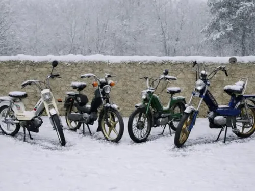 Une vente aux enchères de mobylettes en plein Dijon ce vendredi