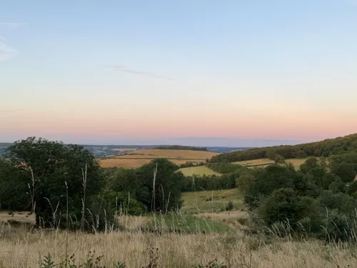Trail Côtelettes : une course et un barbecue géant, cet événement...