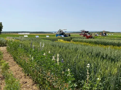 INRAE : le nouveau membre d’un accord japo-dijonnais sur...