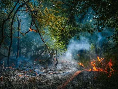 Face aux incendies les collectivités de Côte-d’Or se mobilisent...