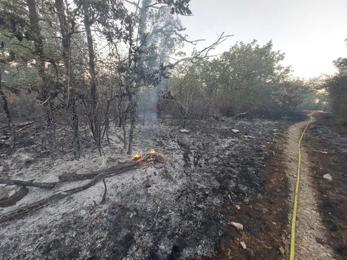 Incendie en Côte-d’Or : un feu s’est déclenché dans la forêt du...