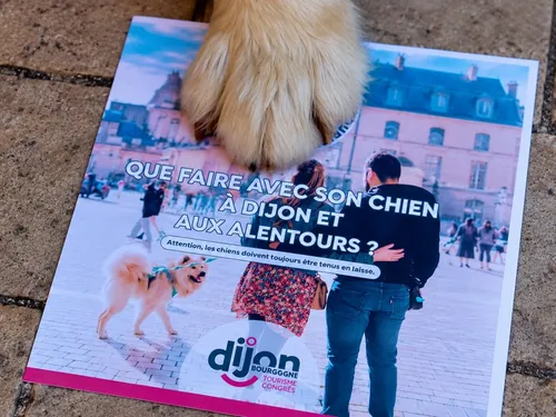La Semaine Nationale du Chien revient fin septembre du côté de Dijon