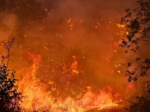 Incendies à Velars-sur-Ouche et Plombières-lès-Dijon : le point sur...